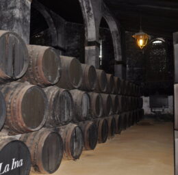 Cursus Proefcolleges