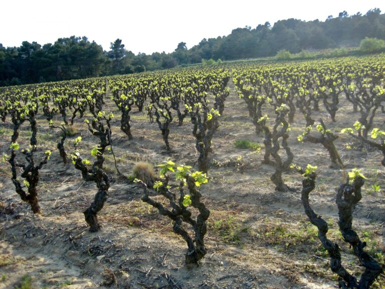 Mood photo for Proefcolleges