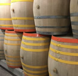 Cursus Become a wine professional