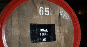 Wijnreis Madeira 1-6 september 2025