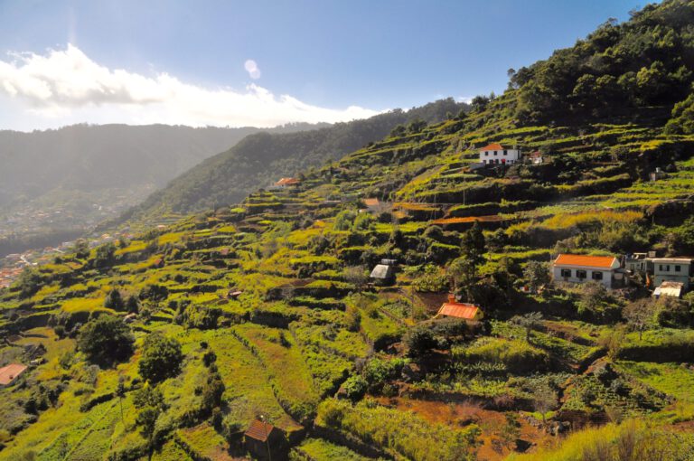 Mood photo for Wijnreis Madeira 1-6 september 2025