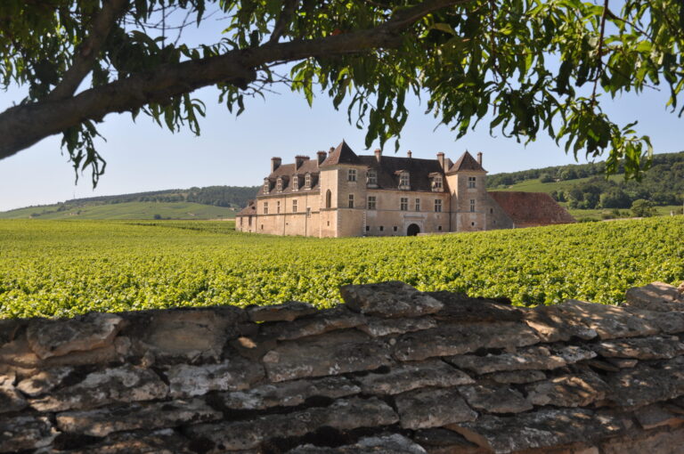 Mood photo for Advanced International – WSET 3