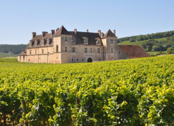 Cursus Word een wijnkenner