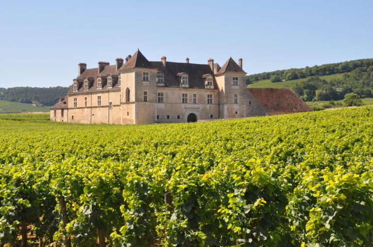 Mood photo for Wijnreis