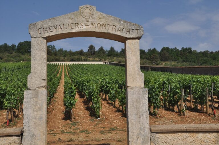 Mood photo for Internationaal Wijnbrevet in Bourgogne 6-11 oktober