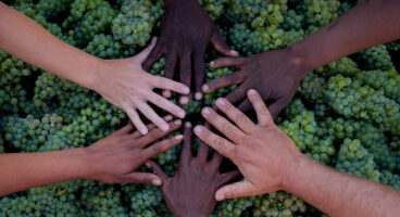 Proefcollege Zuid-Afrika