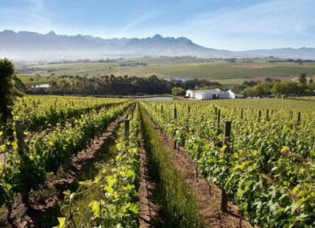 Cursus Proefcolleges