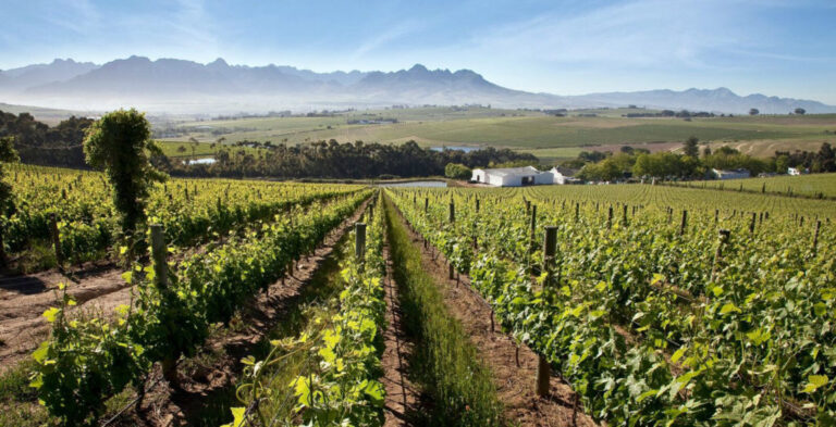 Mood photo for Proefcollege Zuid-Afrika